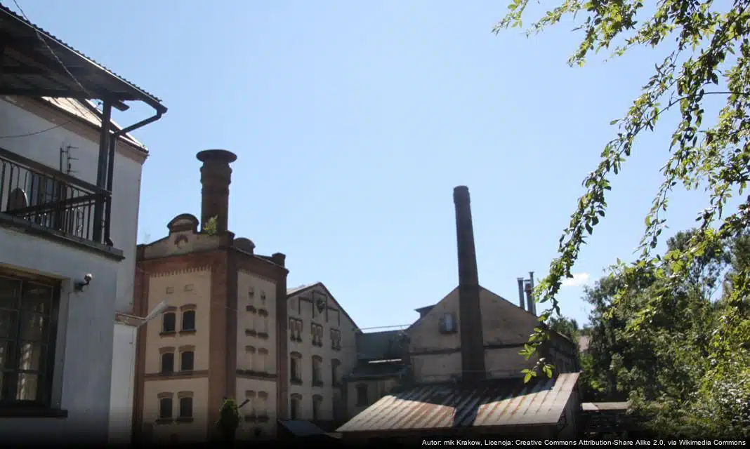 Nordic Walking w Grybowie – Aktywnie przez Cały Rok