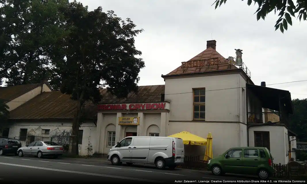 Elektroniczne wnioski o przyłączenie do sieci energetycznej w Grybowie